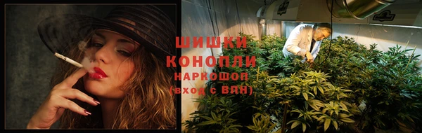 дживик Михайлов
