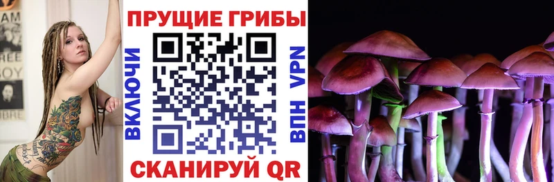 Псилоцибиновые грибы Psilocybine cubensis  магазин продажи наркотиков  Белогорск 