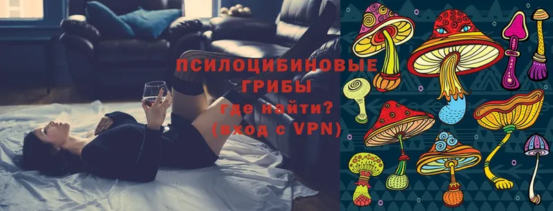 Галлюциногенные грибы Cubensis  Белогорск 